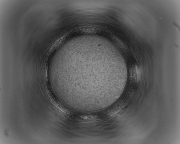 X0000097880733200803281223