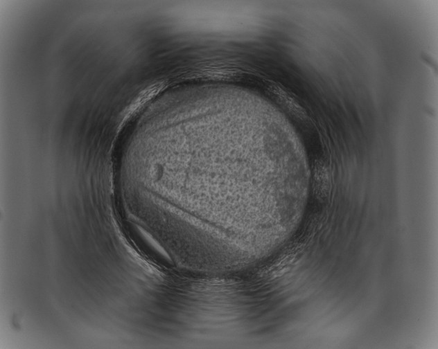 X0000097880734200803281223