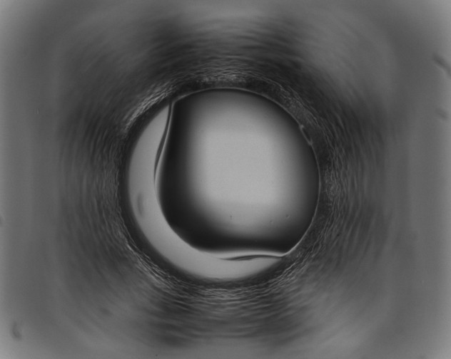 X0000097880735200803281223