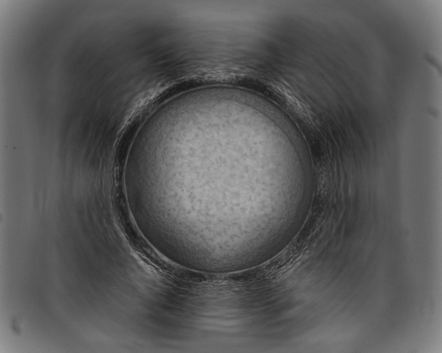 X0000097880736200803281223