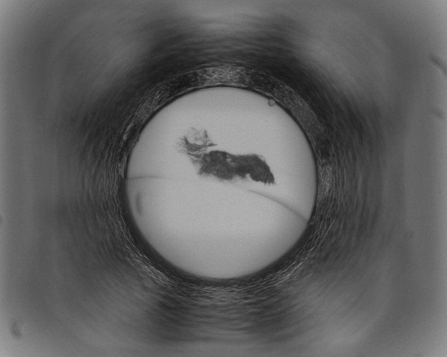 X0000097880737200803281223