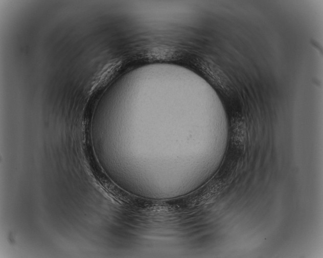 X0000097880738200803281223