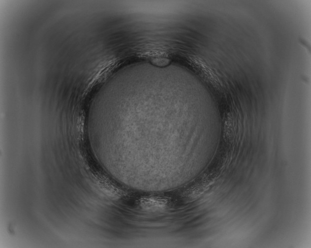 X0000097880739200803281223