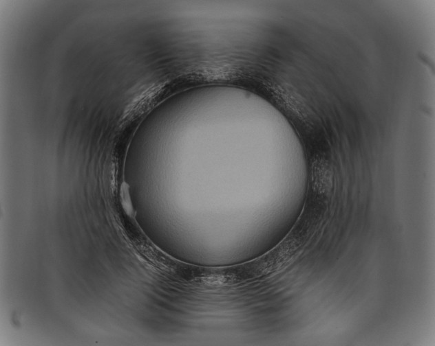 X0000097880740200803281223