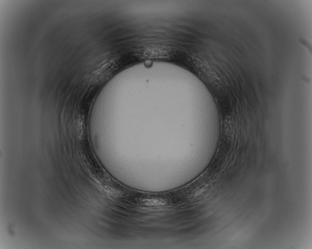 X0000097880741200803281223