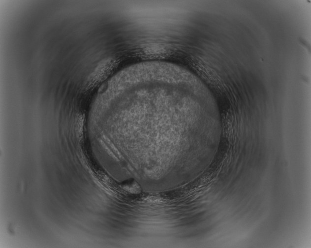 X0000097880742200803281223