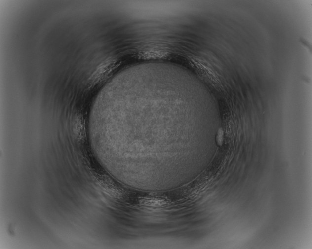 X0000097880743200803281223