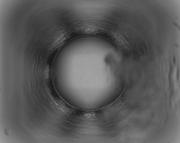 X0000097880744200803281223