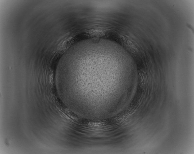 X0000097880745200803281223