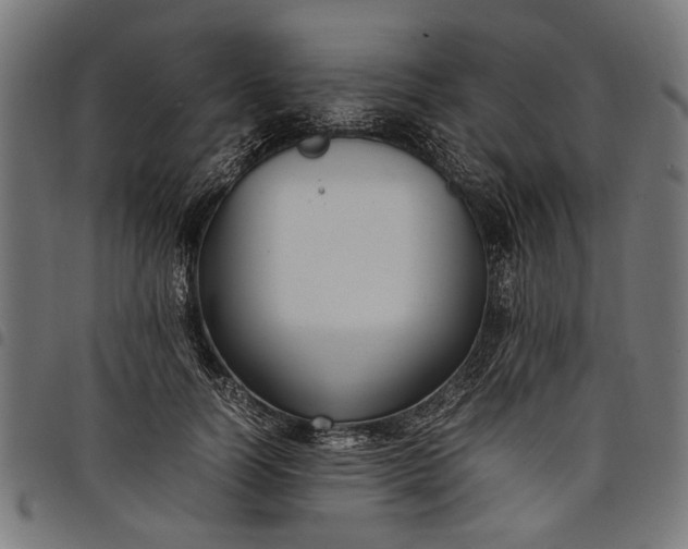 X0000097880746200803281223