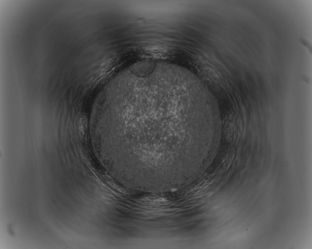 X0000097880747200803281223