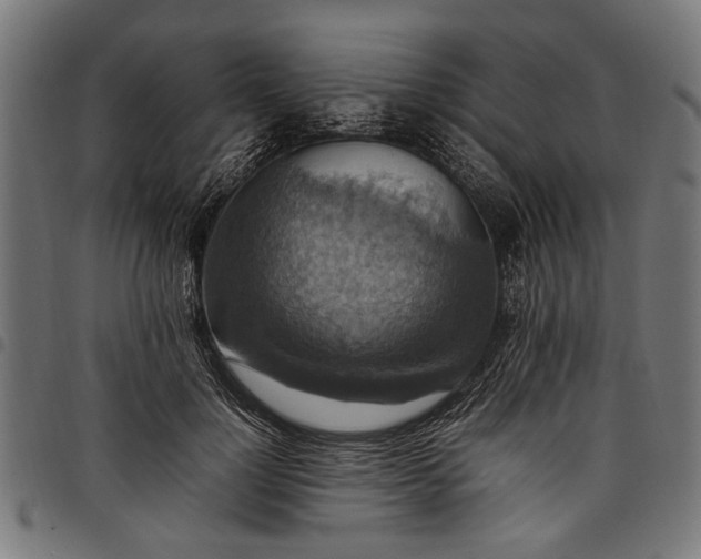 X0000097880748200803281223