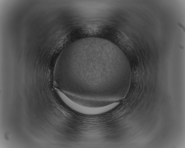 X0000097880750200803281223