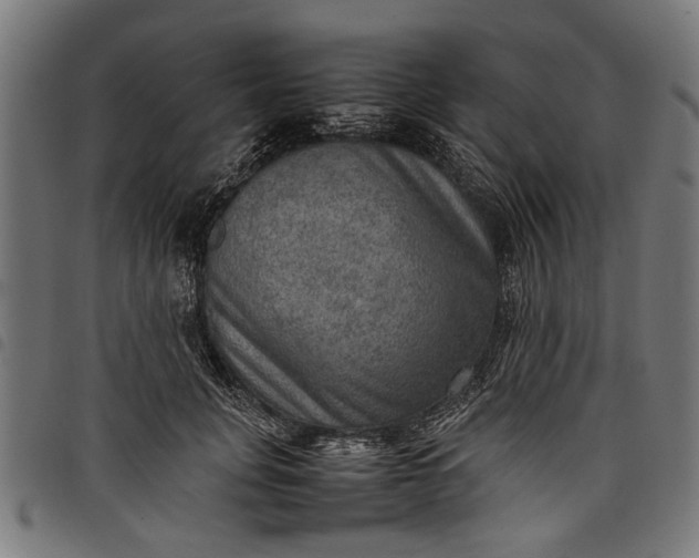 X0000097880751200803281223