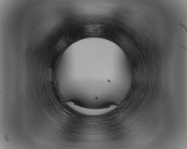 X0000097880752200803281223