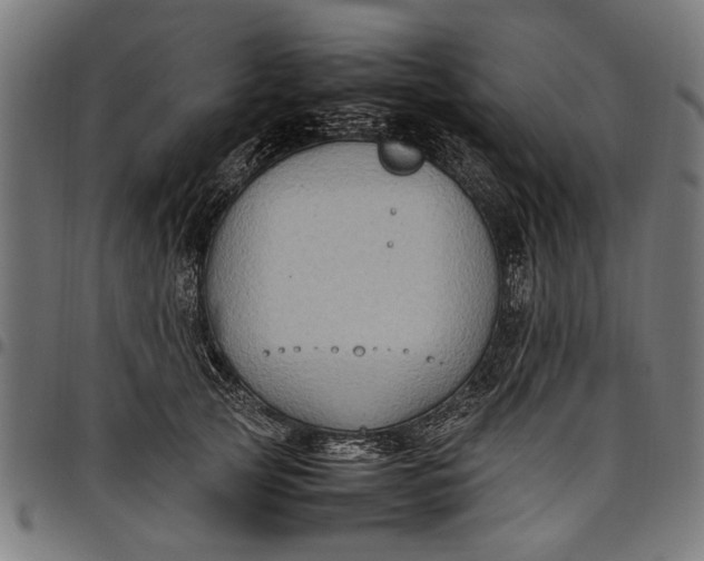 X0000097880753200803281223