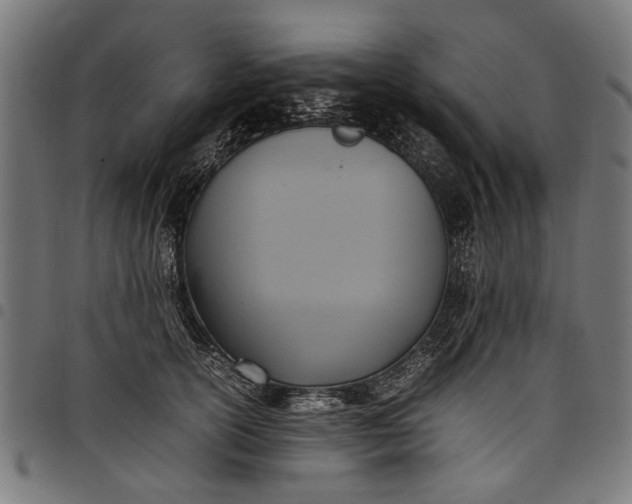 X0000097880754200803281223