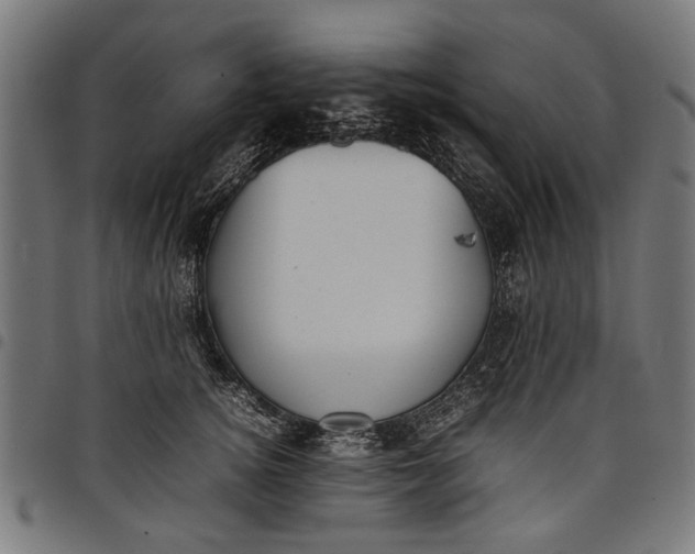 X0000097880756200803281223