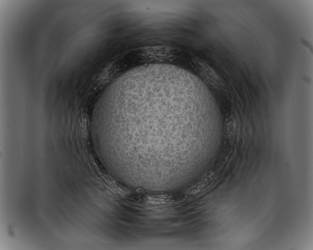 X0000097880757200803281223