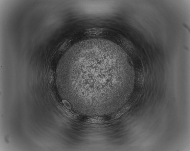 X0000097880758200803281223