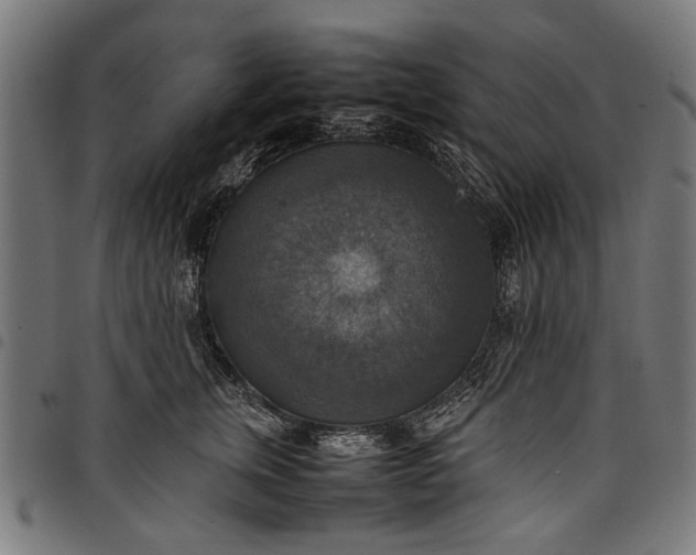 X0000097880759200803281223