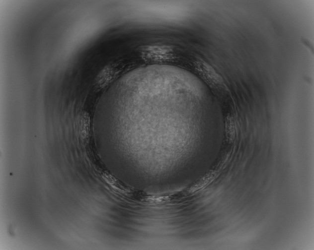 X0000097880760200803281223