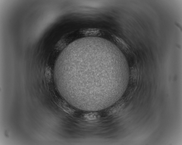 X0000097880761200803281223