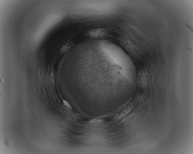 X0000097880762200803281223