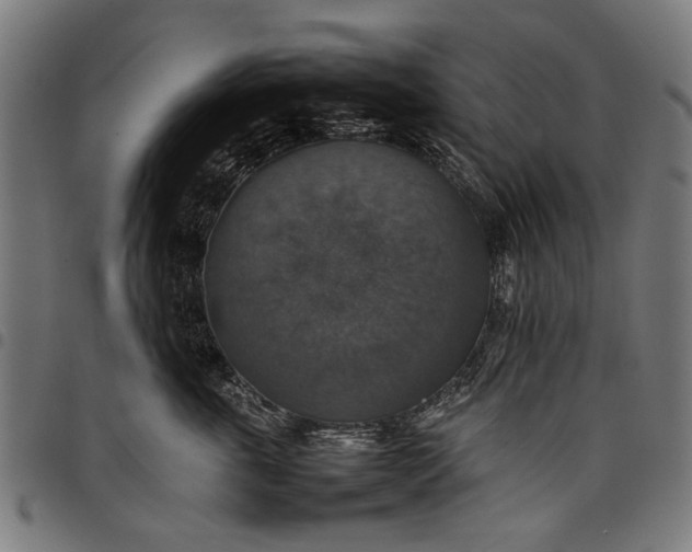 X0000097880763200803281223