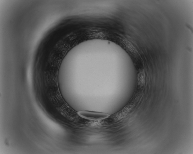 X0000097880764200803281223