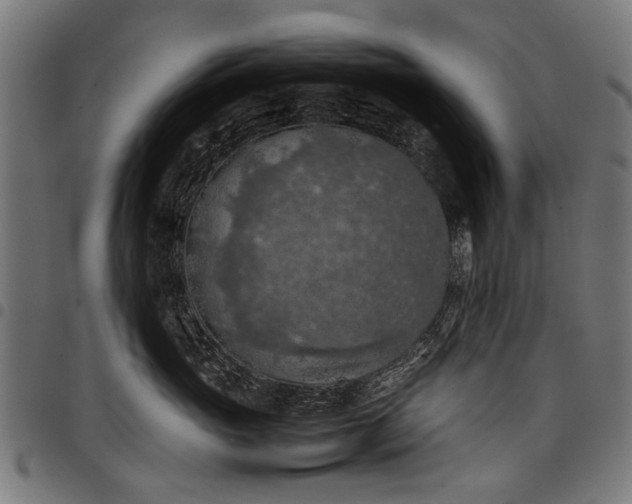 X0000097880765200803281223