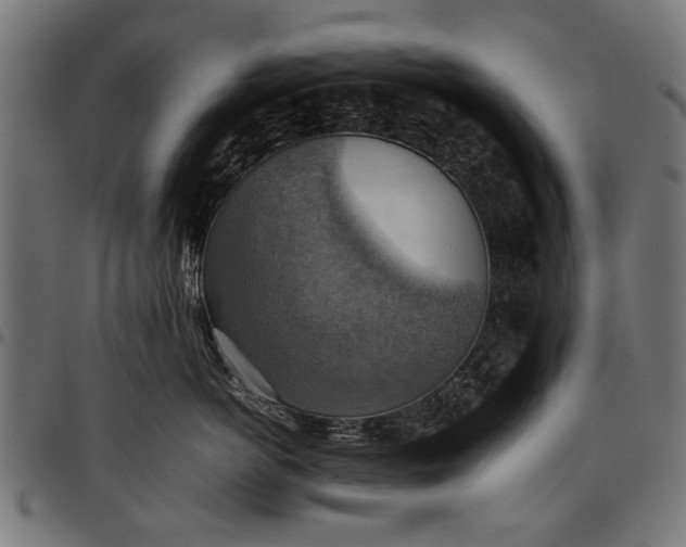 X0000097880766200803281223