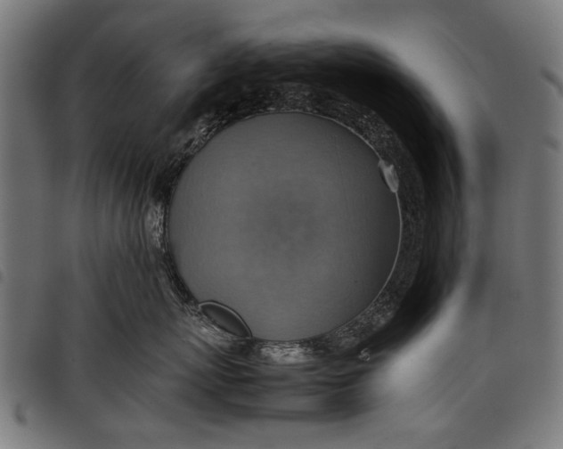 X0000097880767200803281223