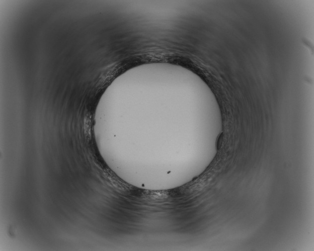 X0000097880768200803281223