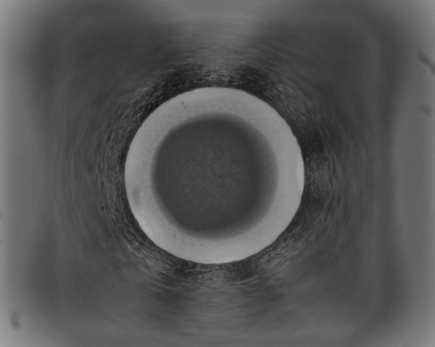 X0000097880769200803281223