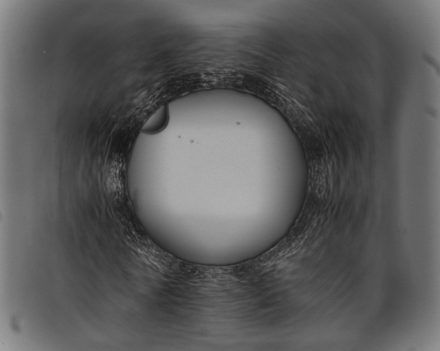 X0000097880770200803281223