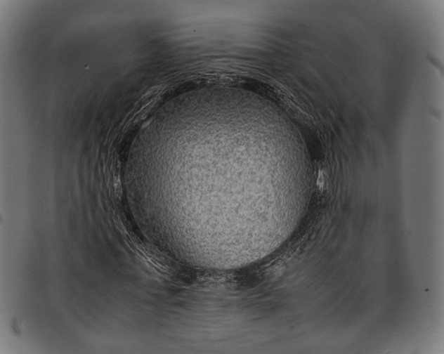 X0000097880771200803281223