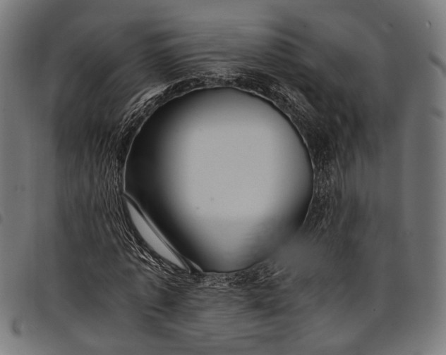 X0000097880773200803281223