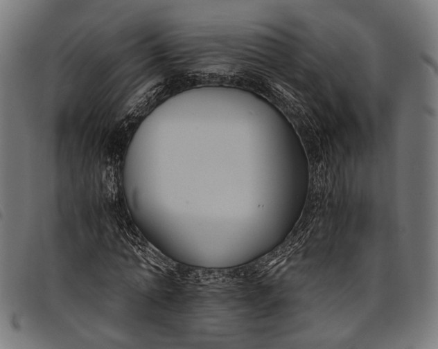 X0000097880774200803281222