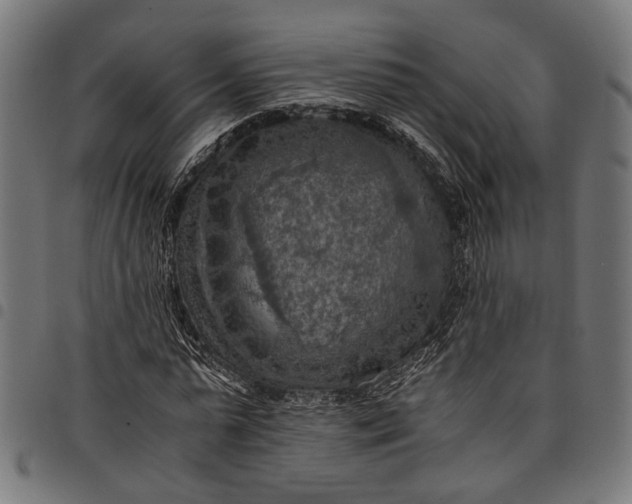 X0000097880775200803281222