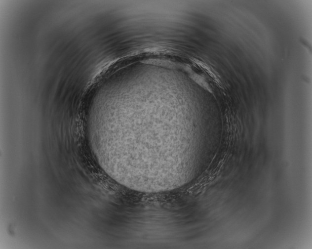 X0000097880776200803281222