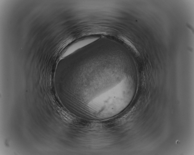 X0000097880777200803281222