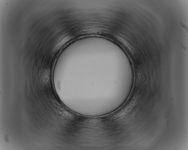 X0000097880778200803281222