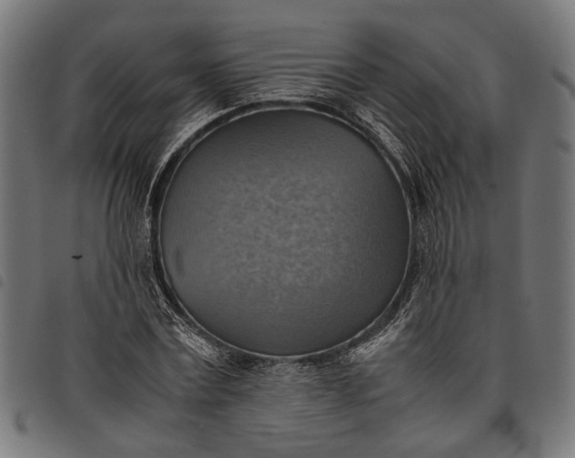 X0000097880779200803281222