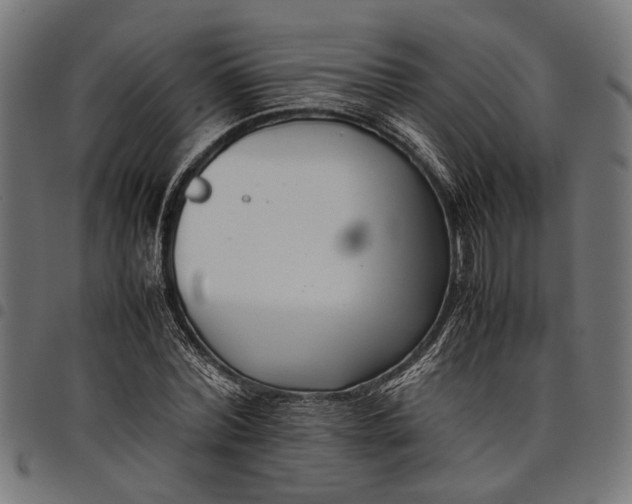 X0000097880780200803281222