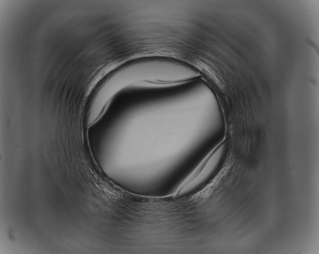 X0000097880781200803281222