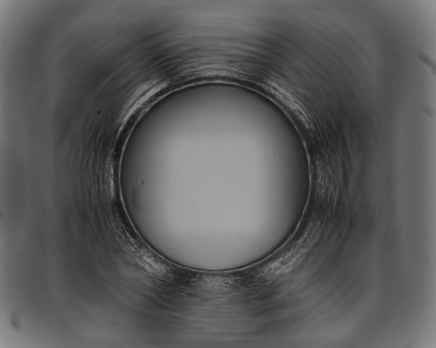 X0000097880782200803281222