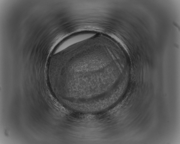 X0000097880783200803281222