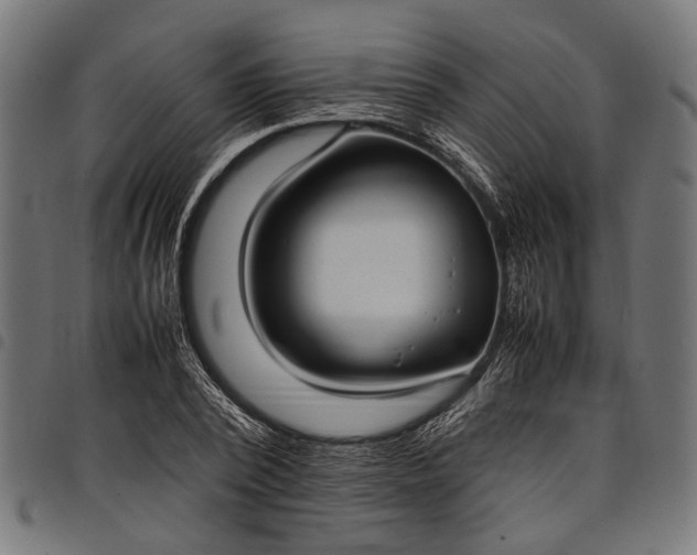 X0000097880784200803281222