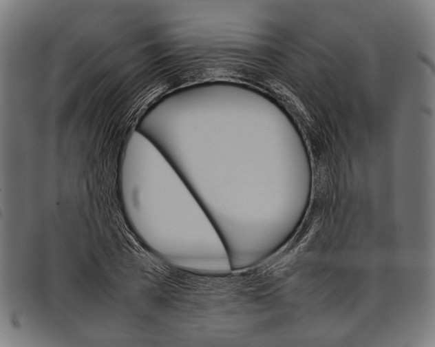 X0000097880785200803281222